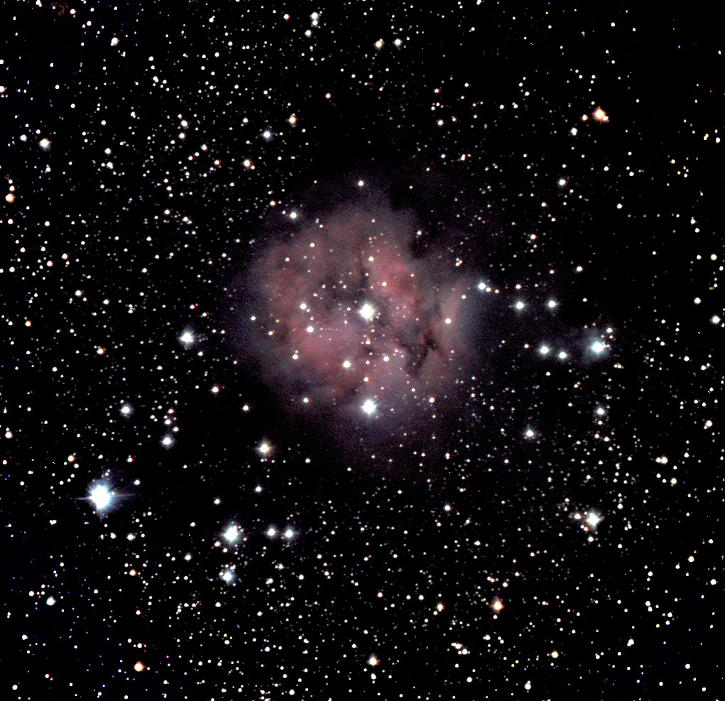 Cocoon Nebula