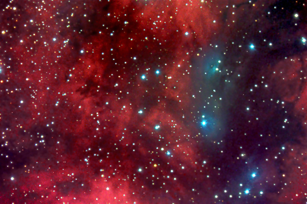 Cygnus Blue&Red Nebulae