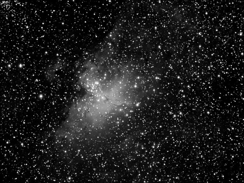 M16 image
