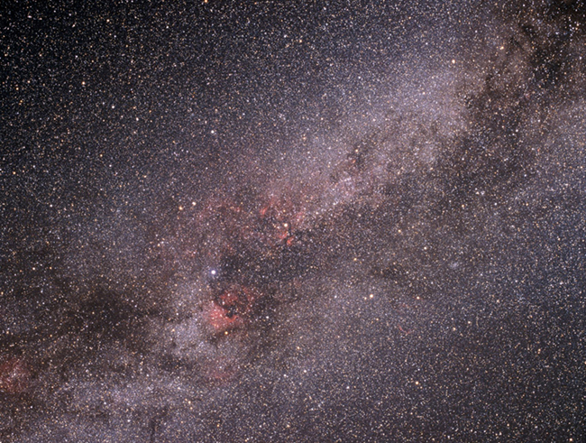 Cygnus