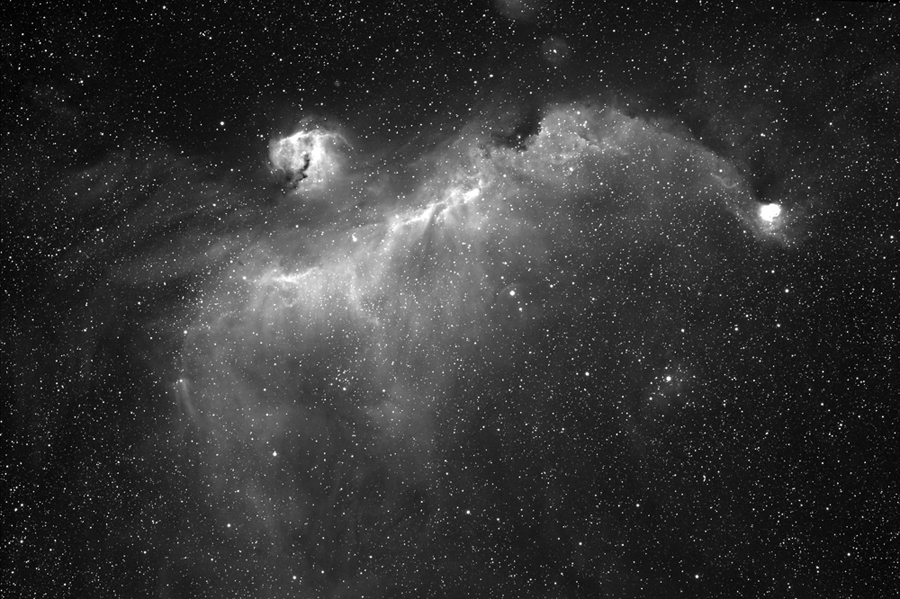 Seagull in Hydrogen-alpha