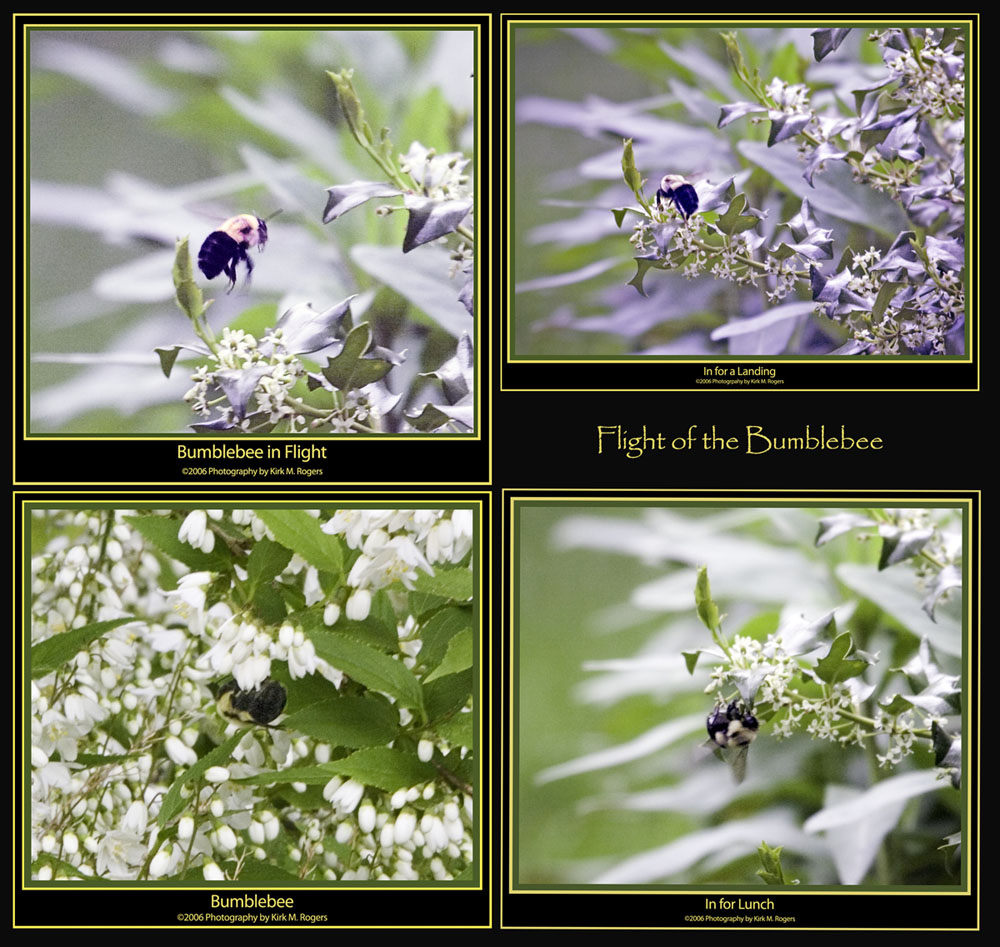 Flight of the Bumblebee