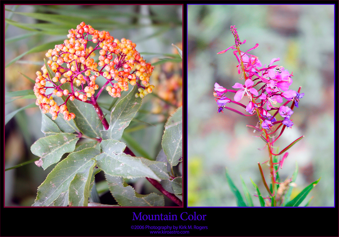 Mountain Color