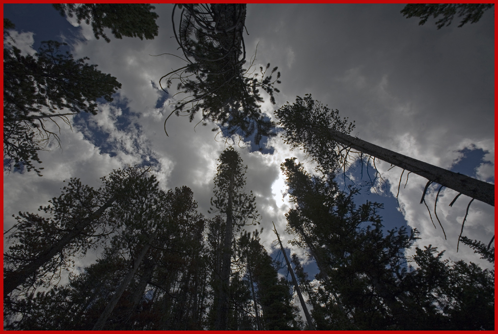 View from Below