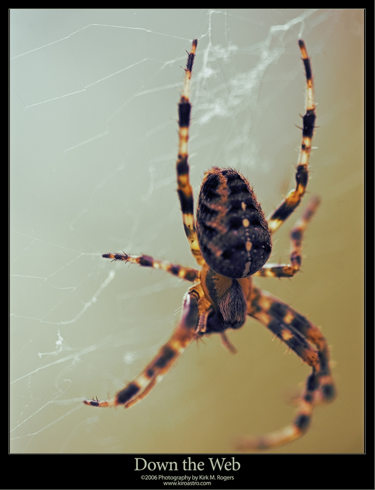 Down the Web