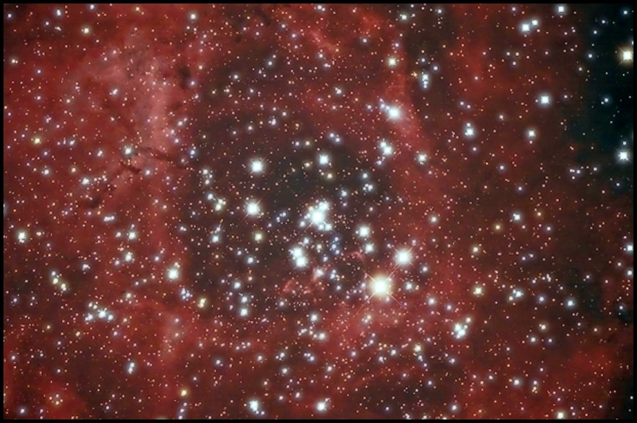 Heart of the Rosette