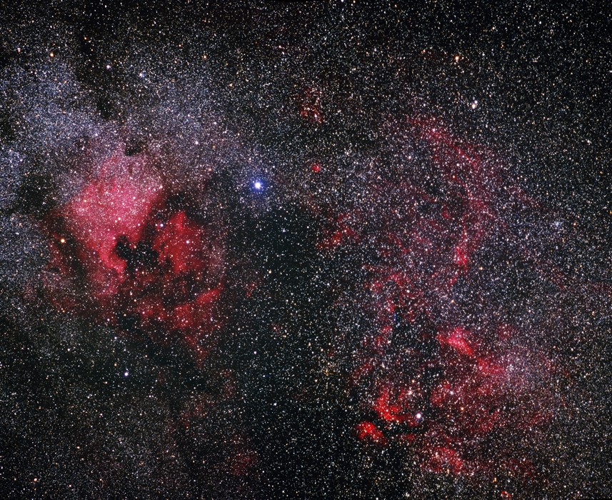 Northern Cygnus Mosaic