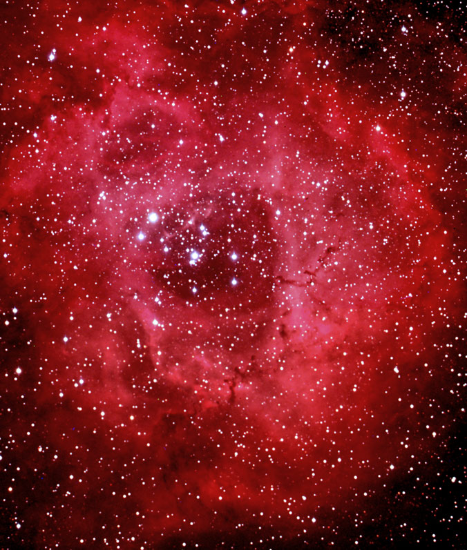 Rosette Mosiac