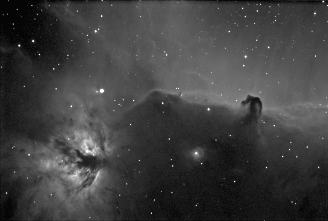 Horsehead in Ha