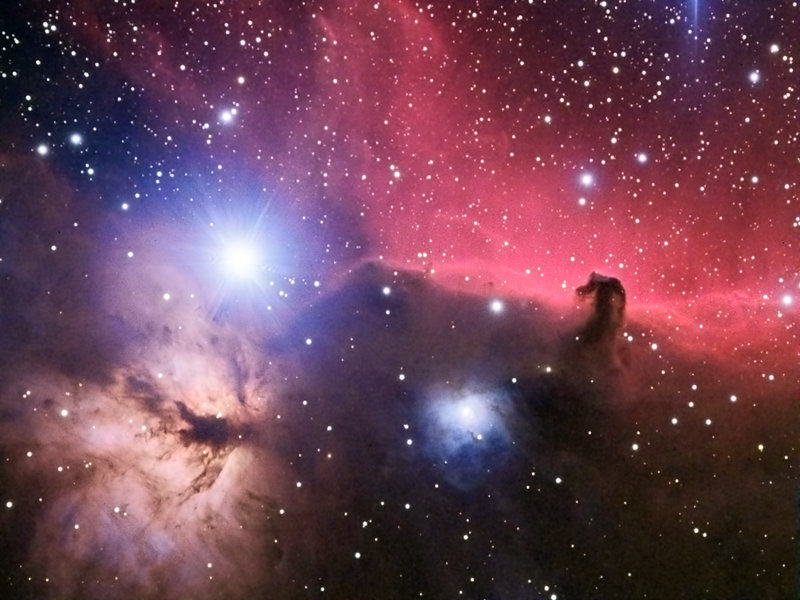 Horse Head and Flame
