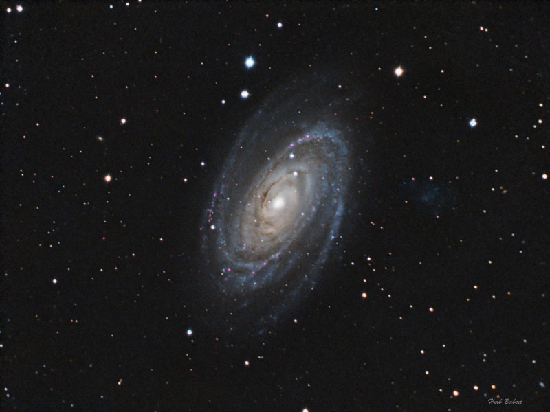 M81