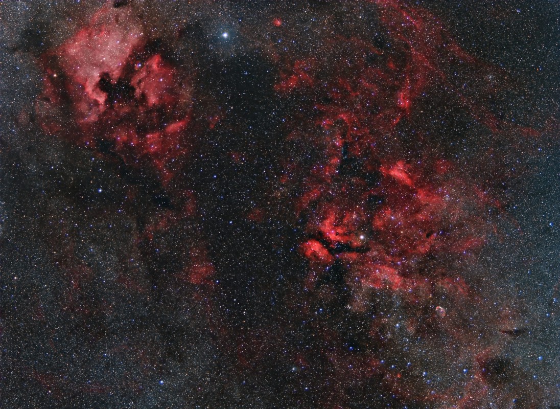 Cygnus region