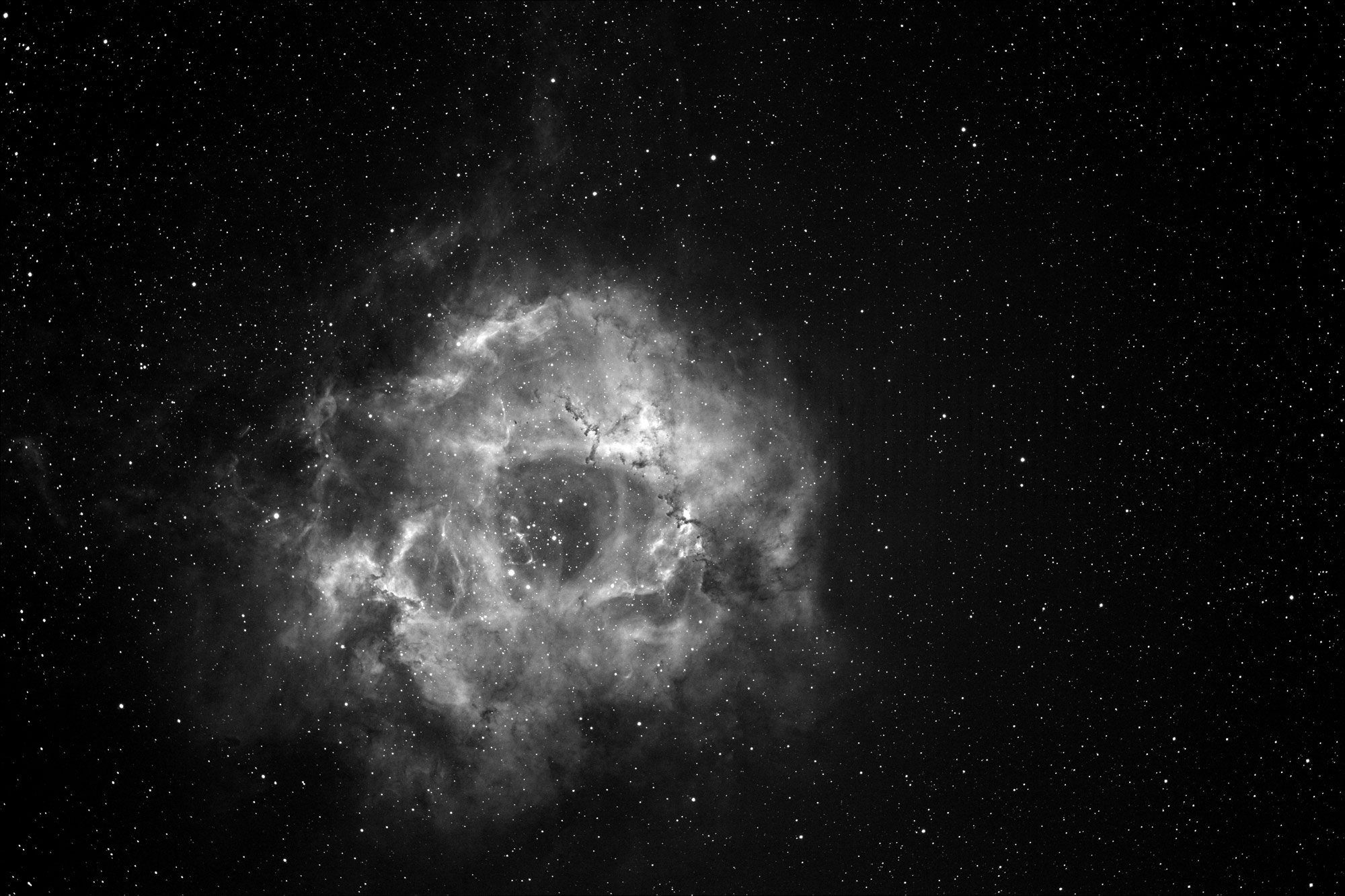 Rosette Nebula