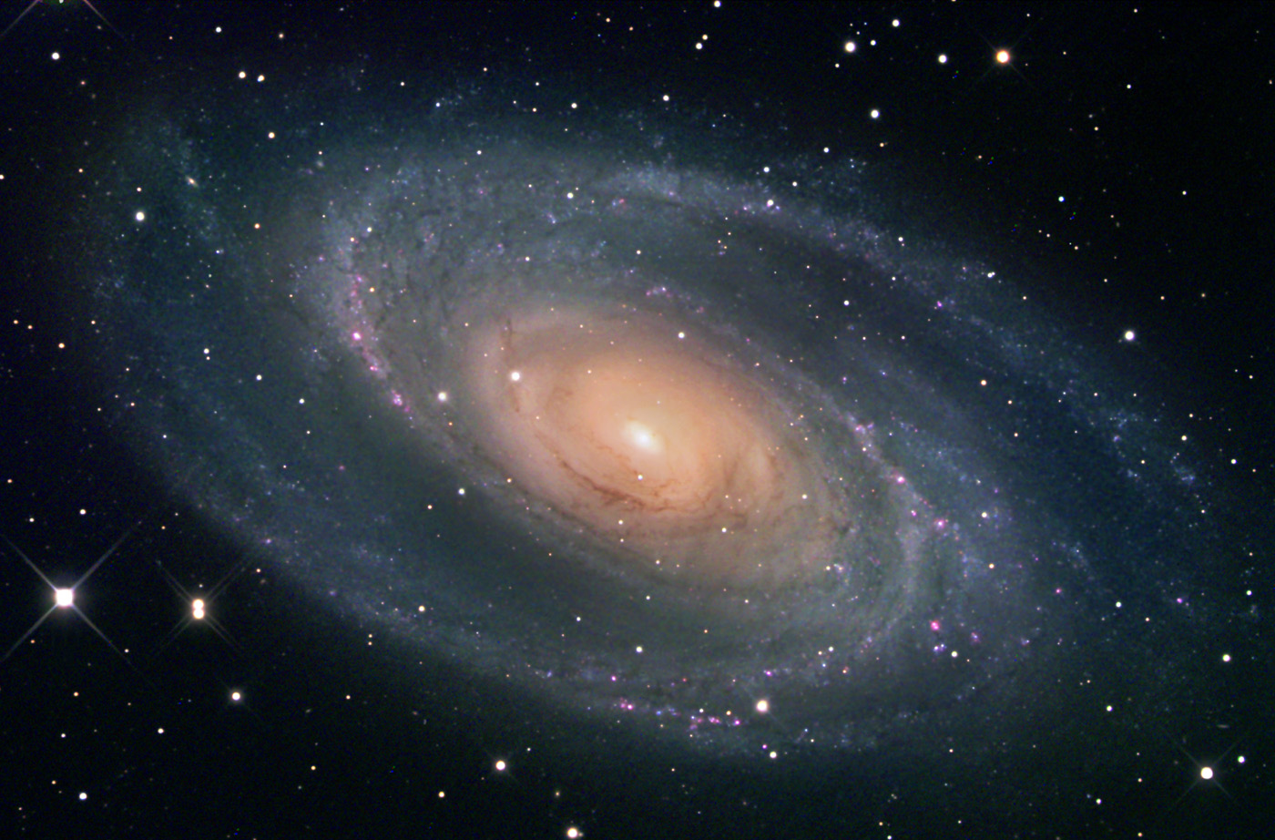 M81