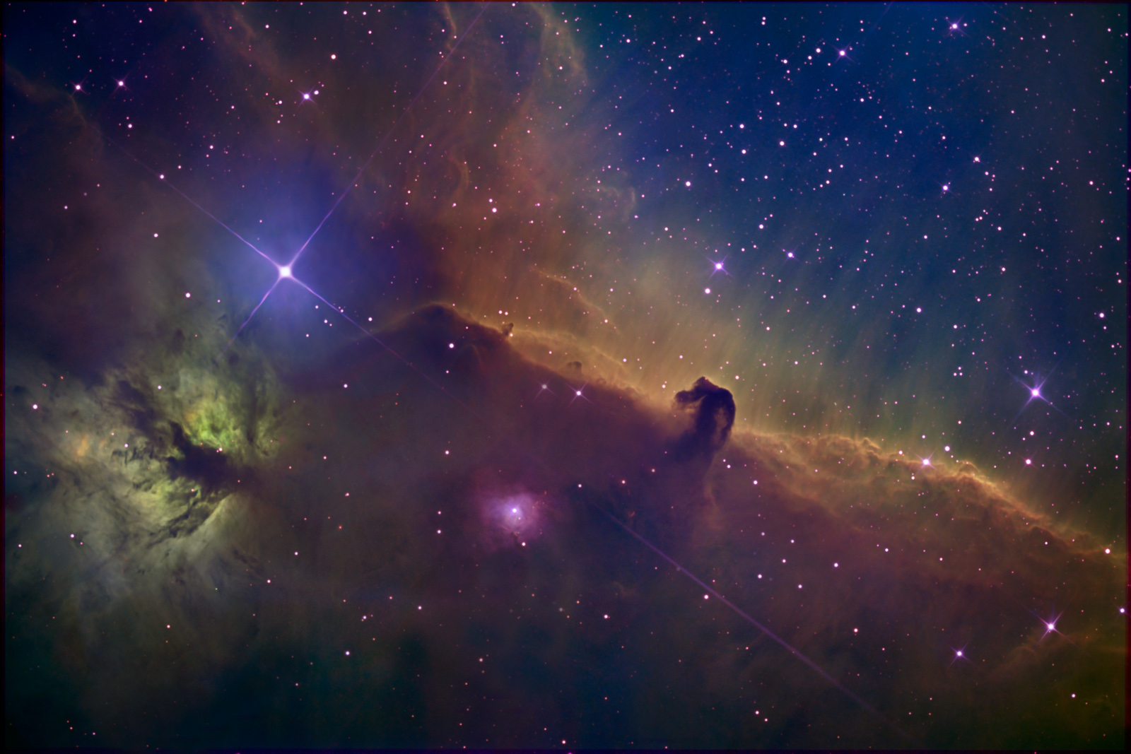 A Horse of a different color