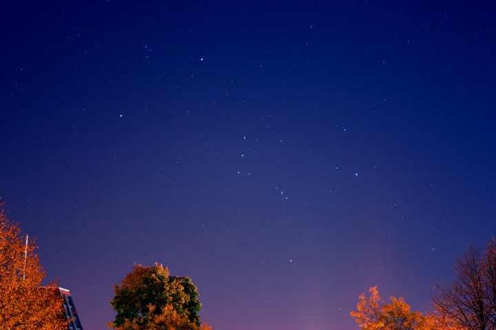 Orion Rising
