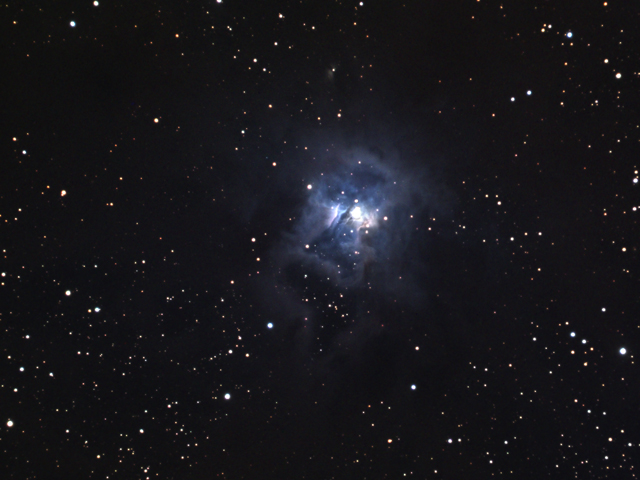 NGC7023 Iris Nebula