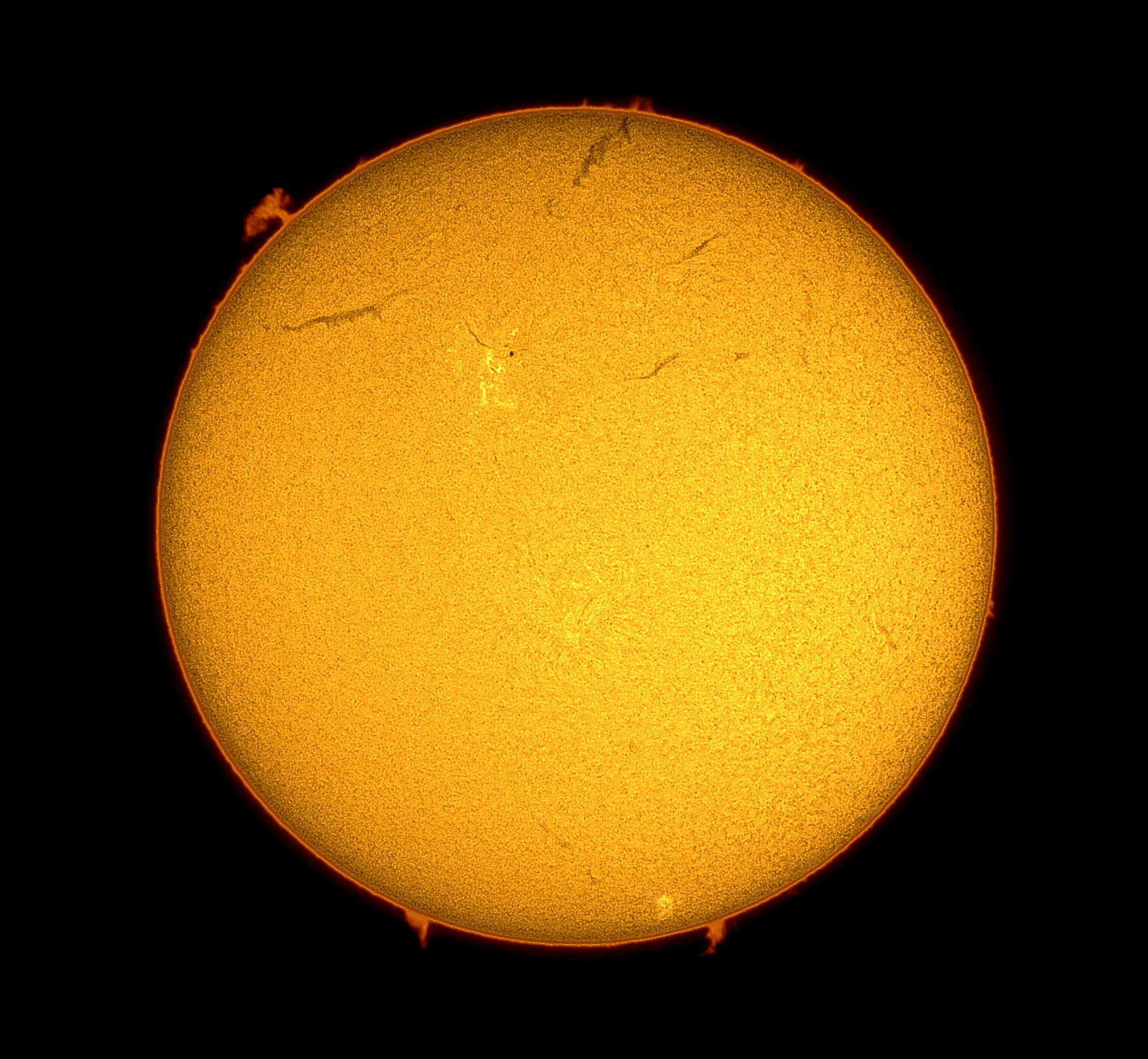 Solar Prominences on 4/09/2005