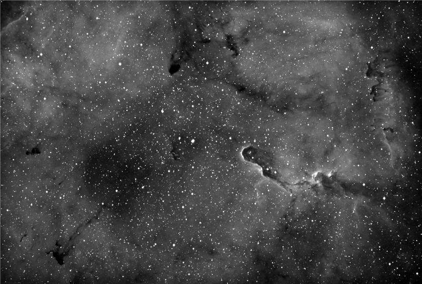 The Elephant Trunk Nebula