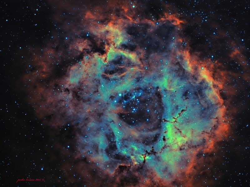The Rossete Nebula 