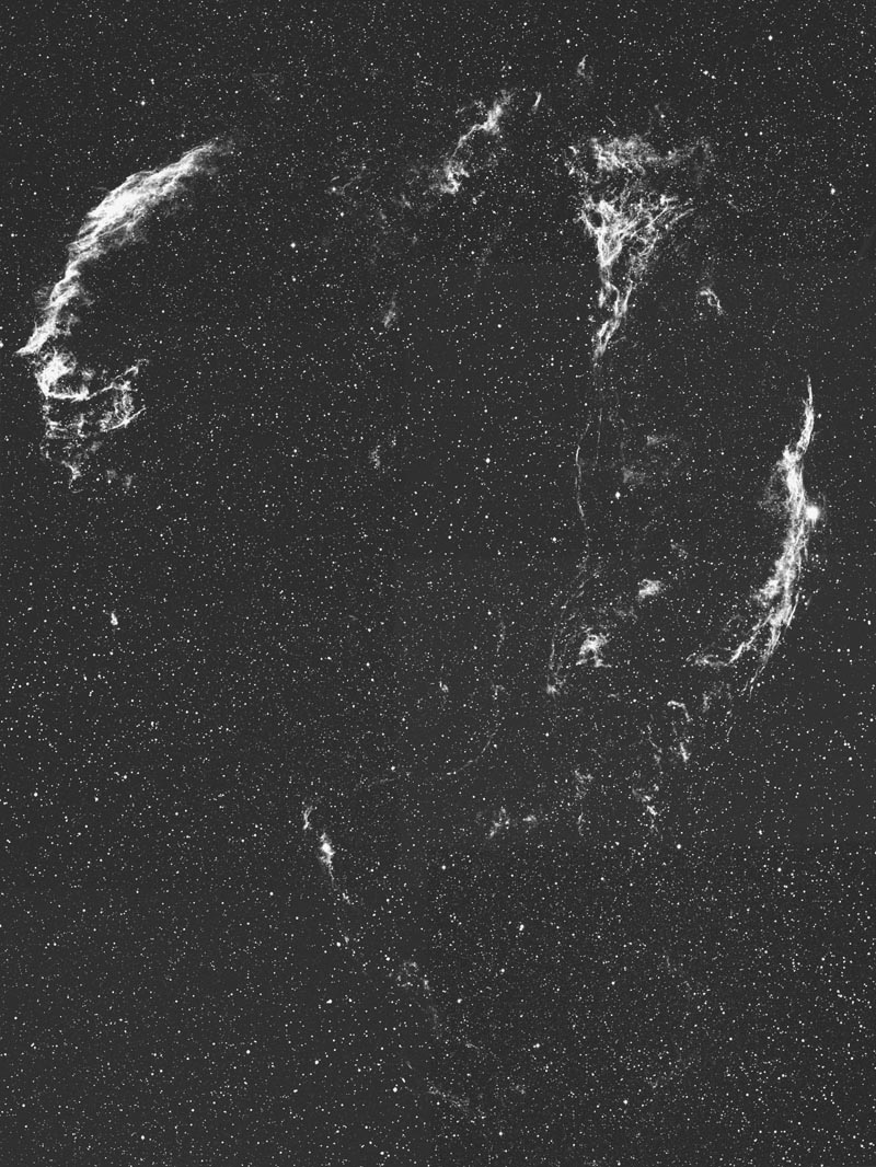 Cygnus Loop
