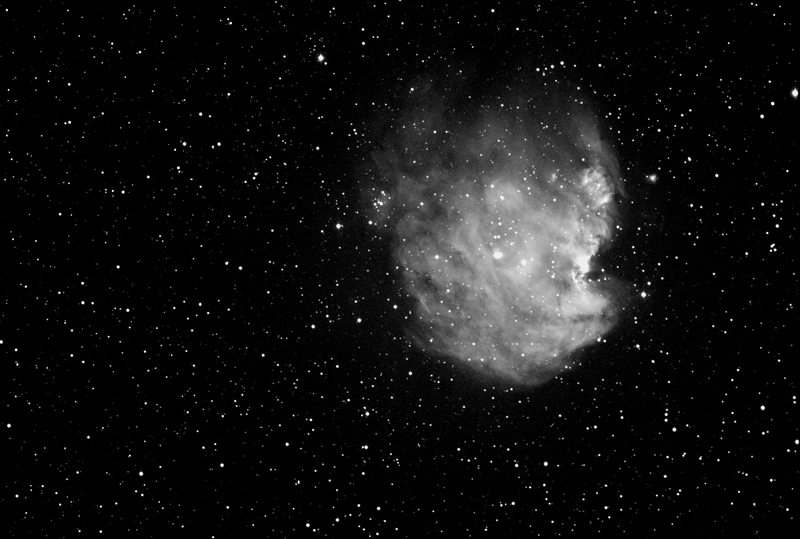 Monkey Nebula