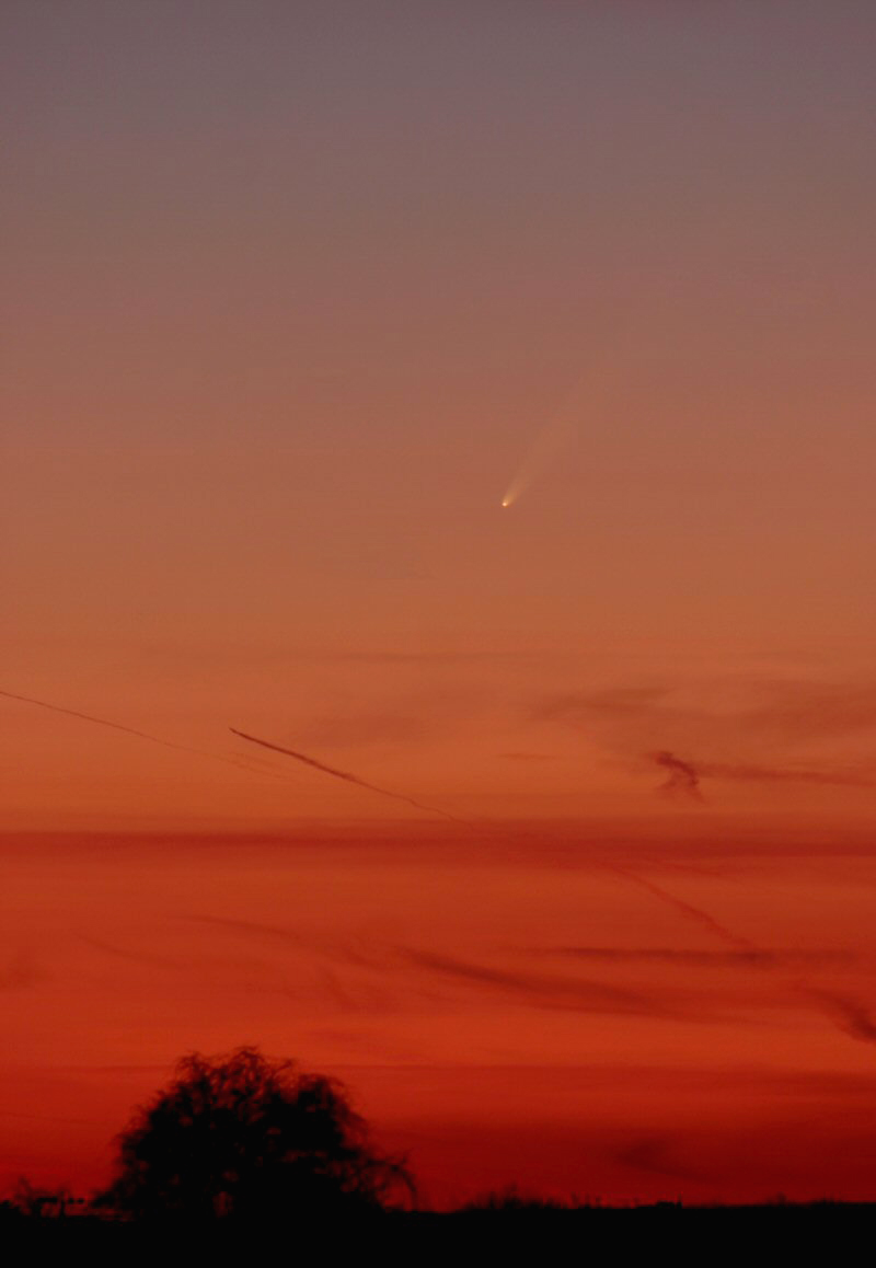 Comet McNaught