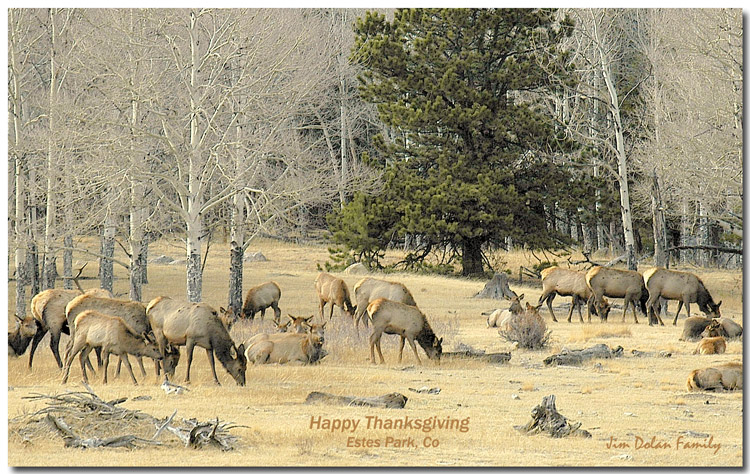 Happy Thanksgiving