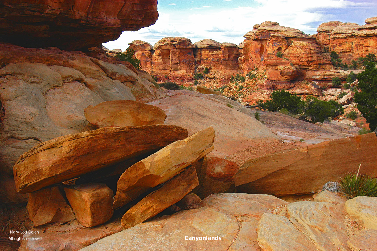Rocks