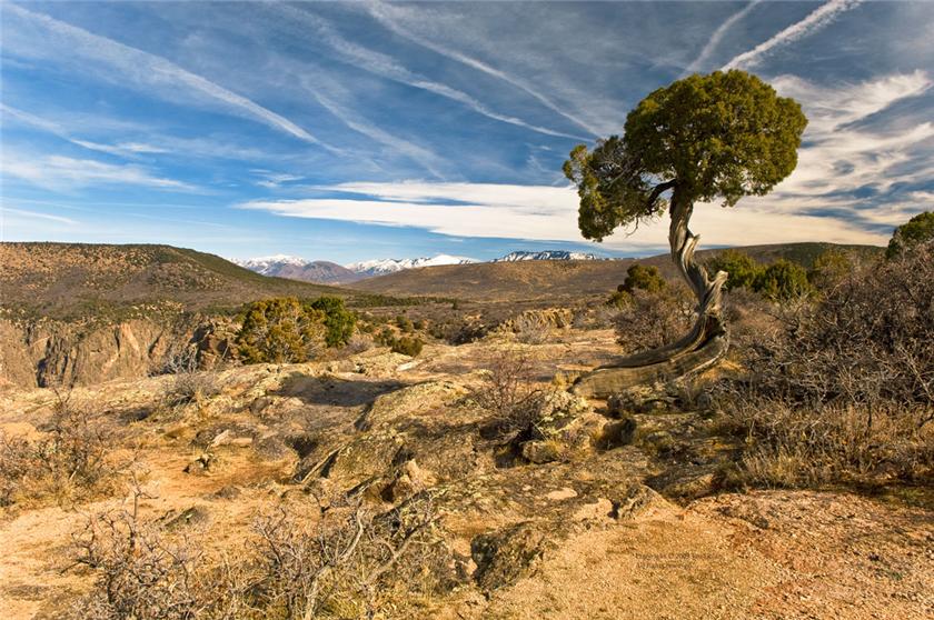 Rim of the Black Canyon