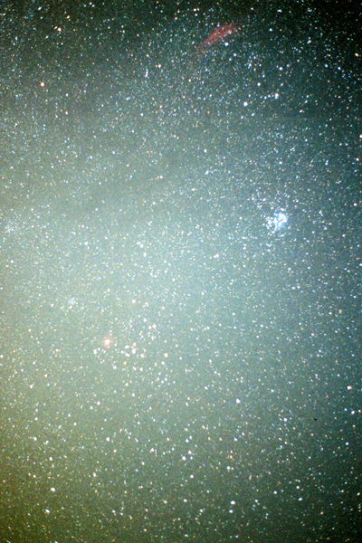 NGC1499, M45 & the bull