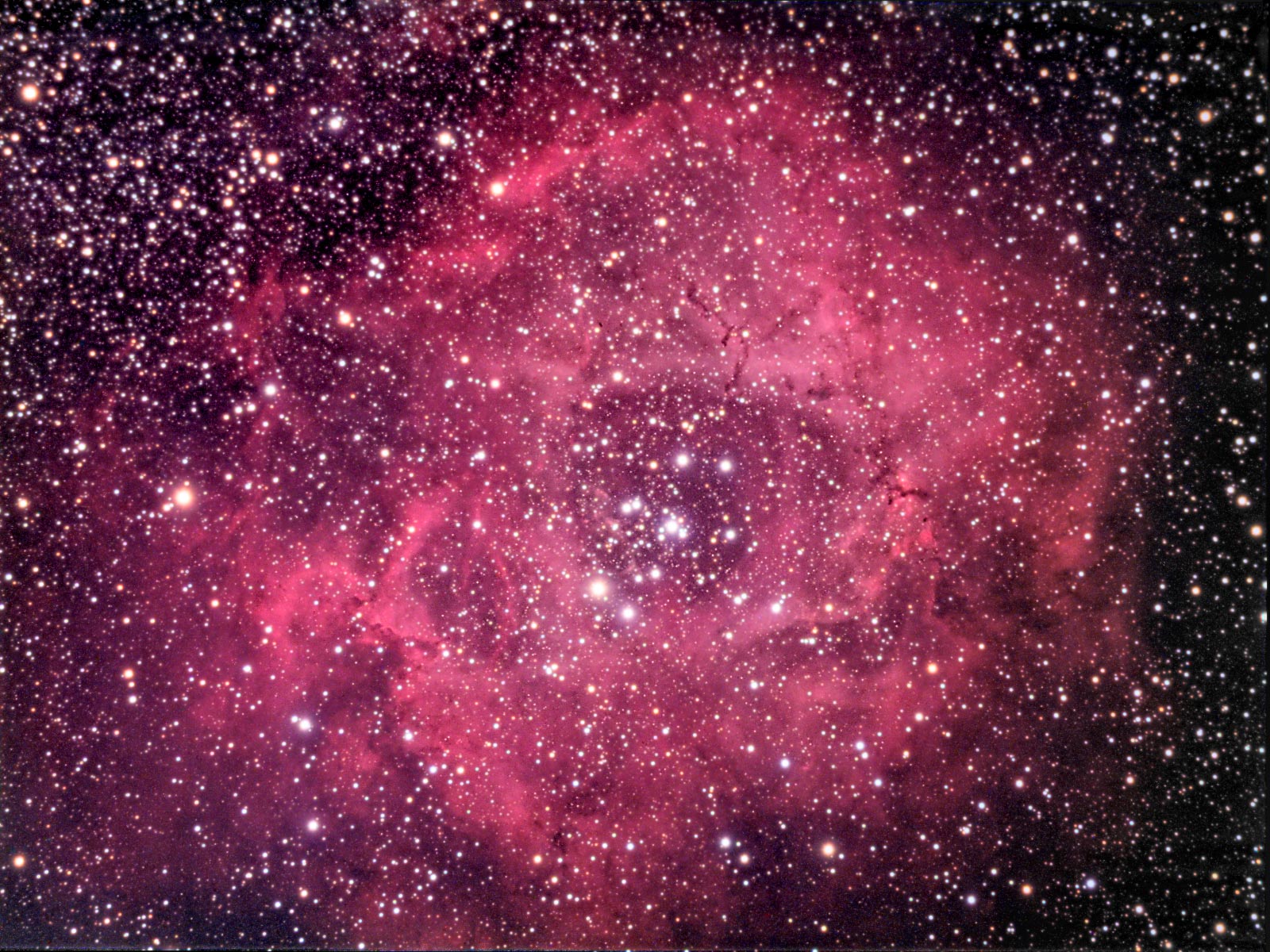 Rosette Nebula