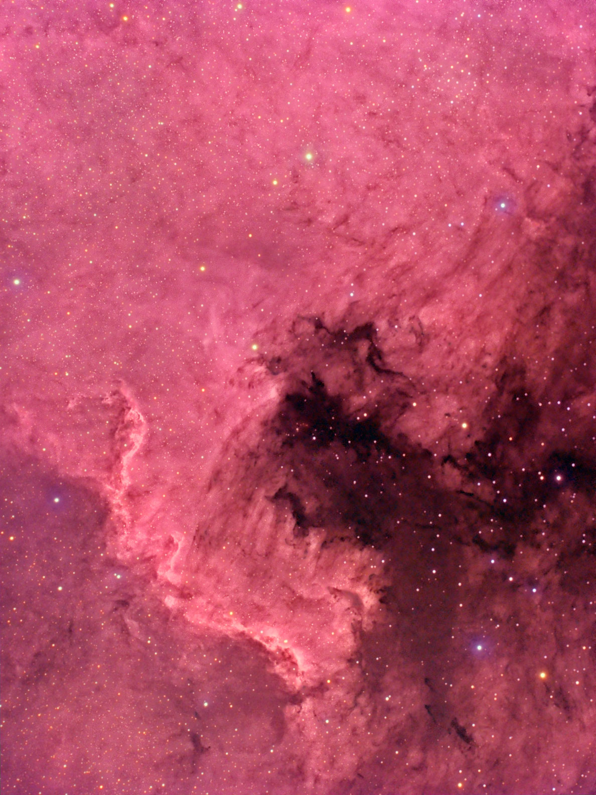 Deep North American Nebula