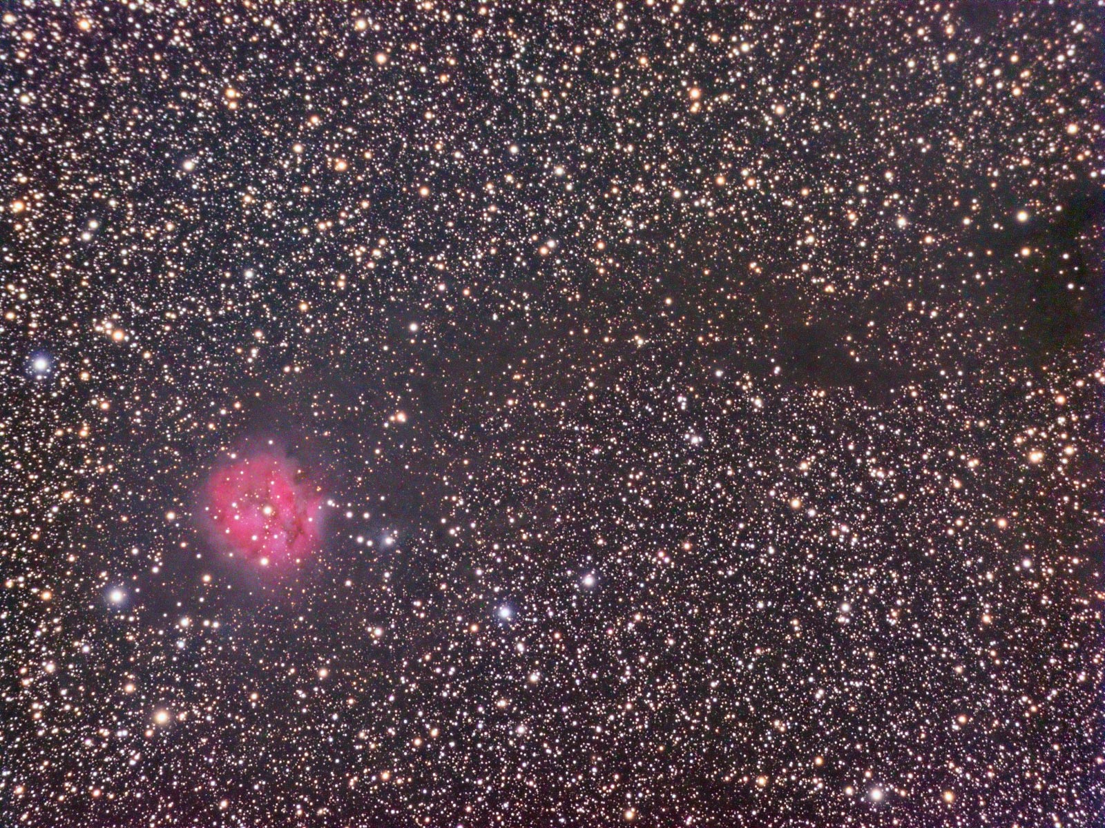 Cocoon & Barnard 168