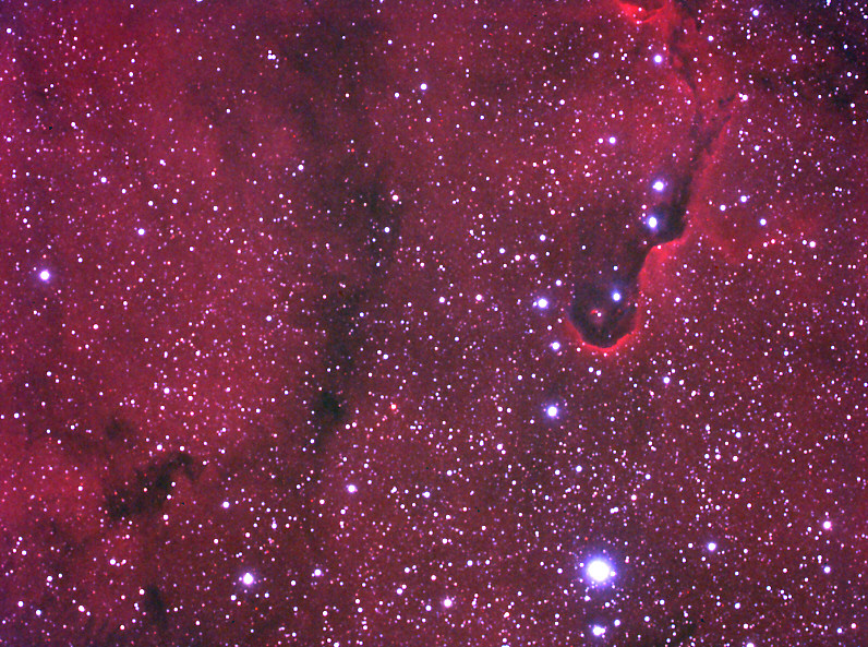 IC1396, Elephant Trunk Nebula