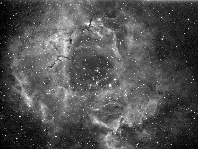 Rosette Nebula Mosaic