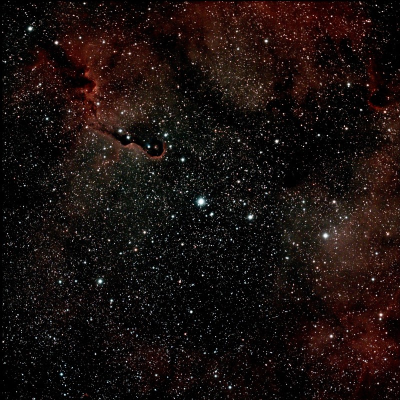 Region around The Elephant Trunk Nebula