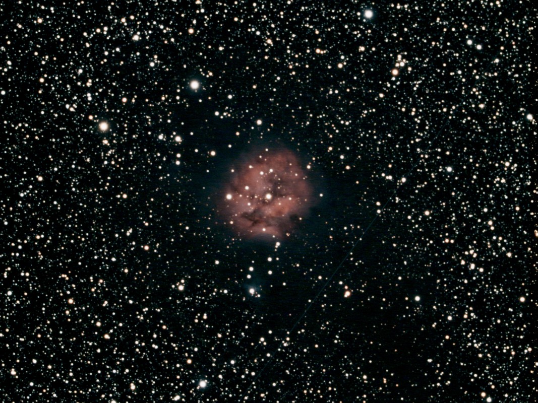 Cocoon Nebula