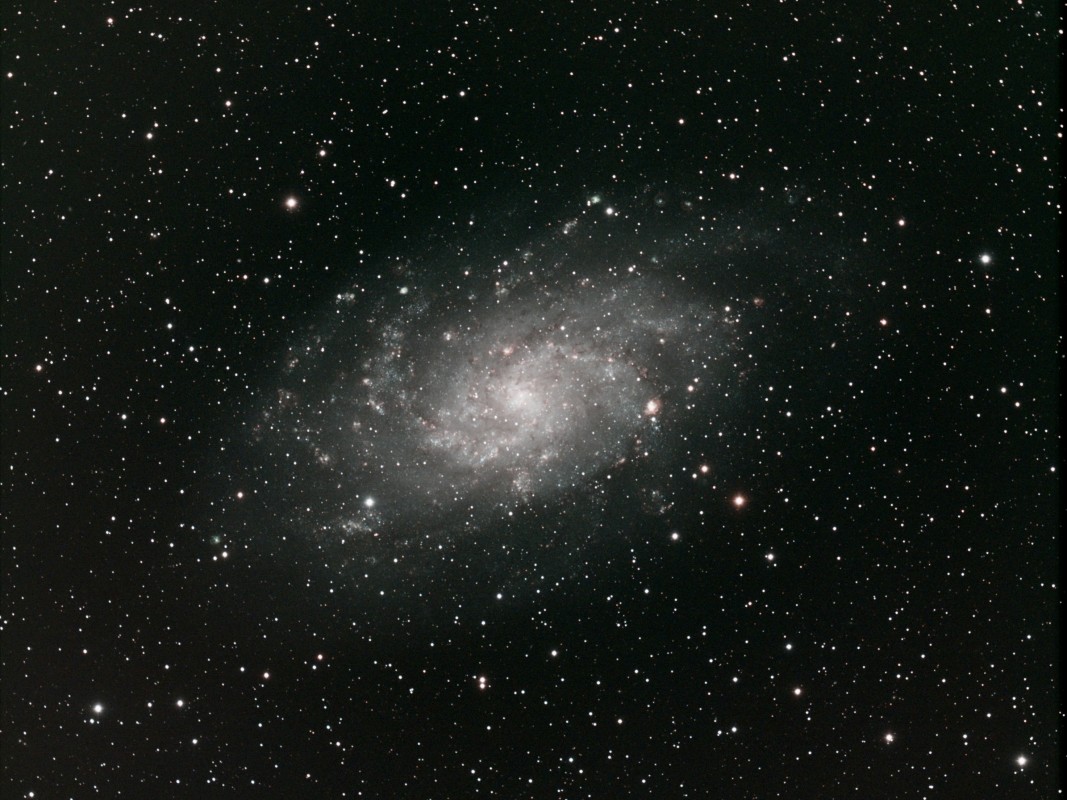 Yet Another M33 to This Year's Collection