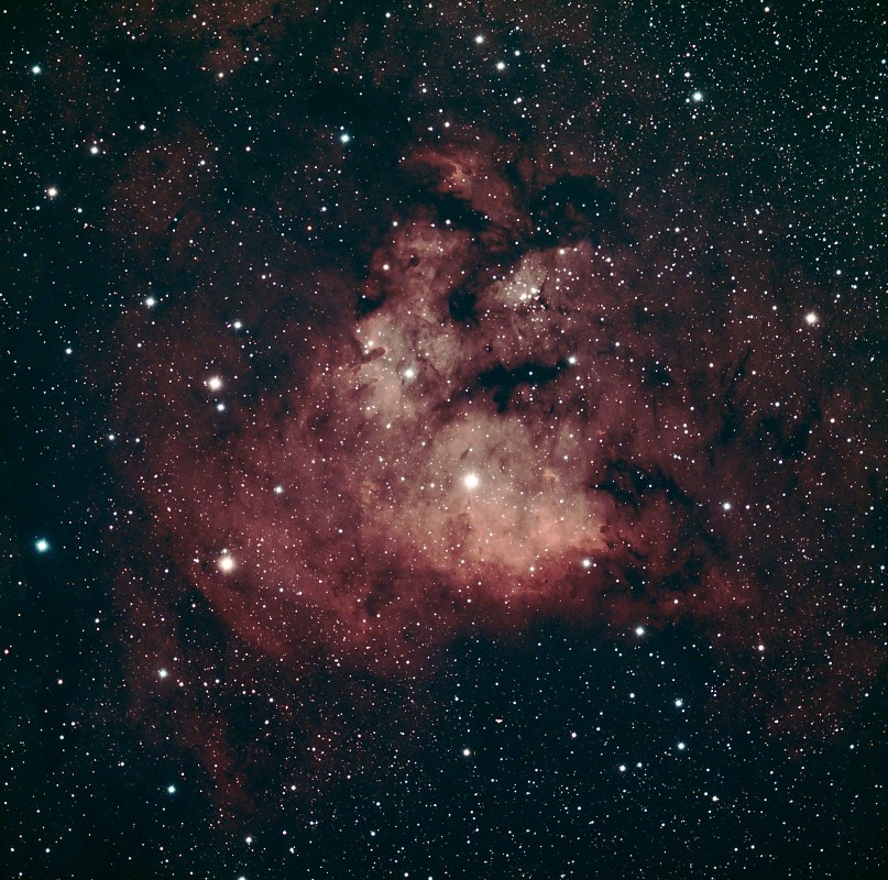 NGC7822 AKA The Teddy Bear Nebula image