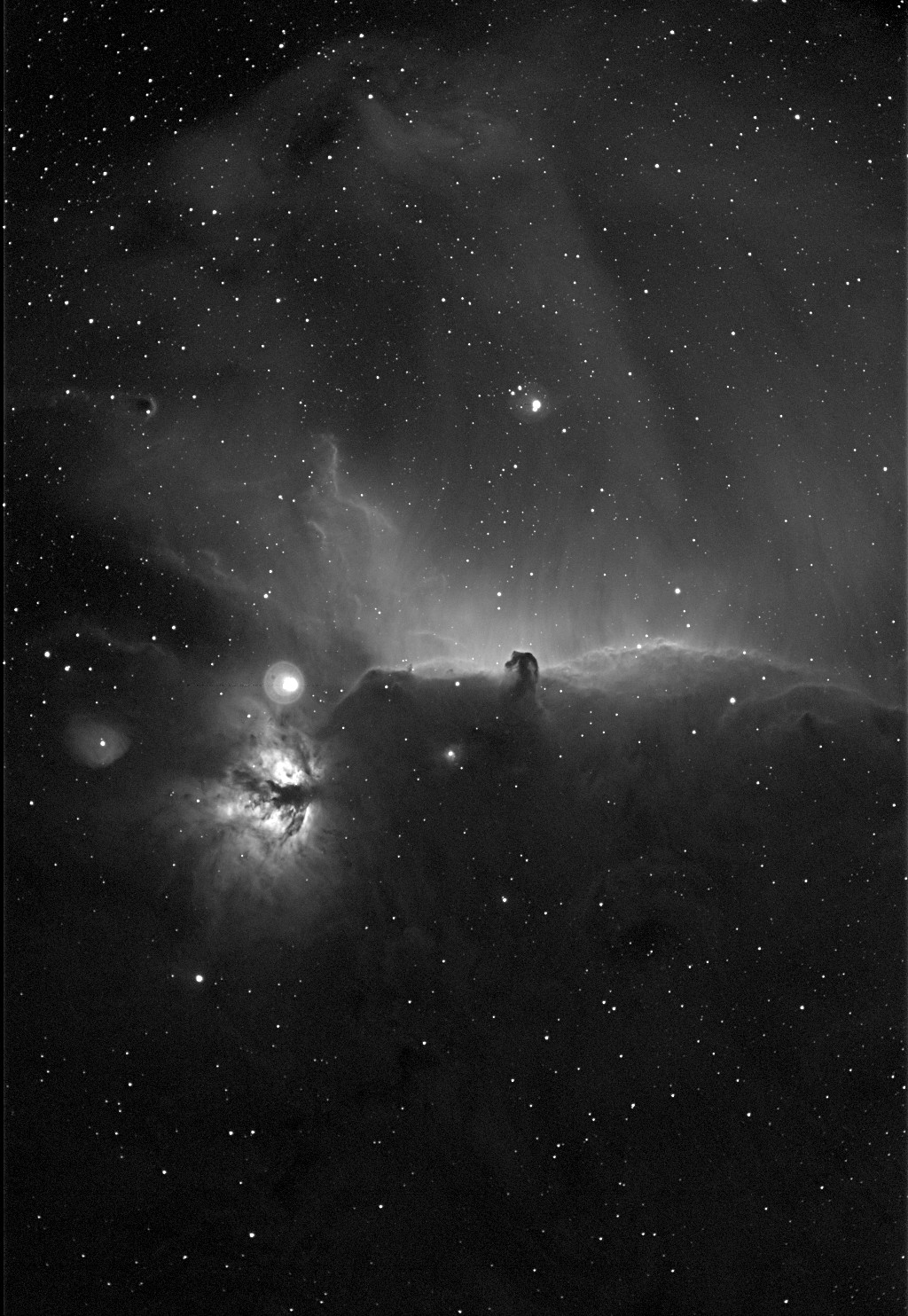 Horsehead widefield