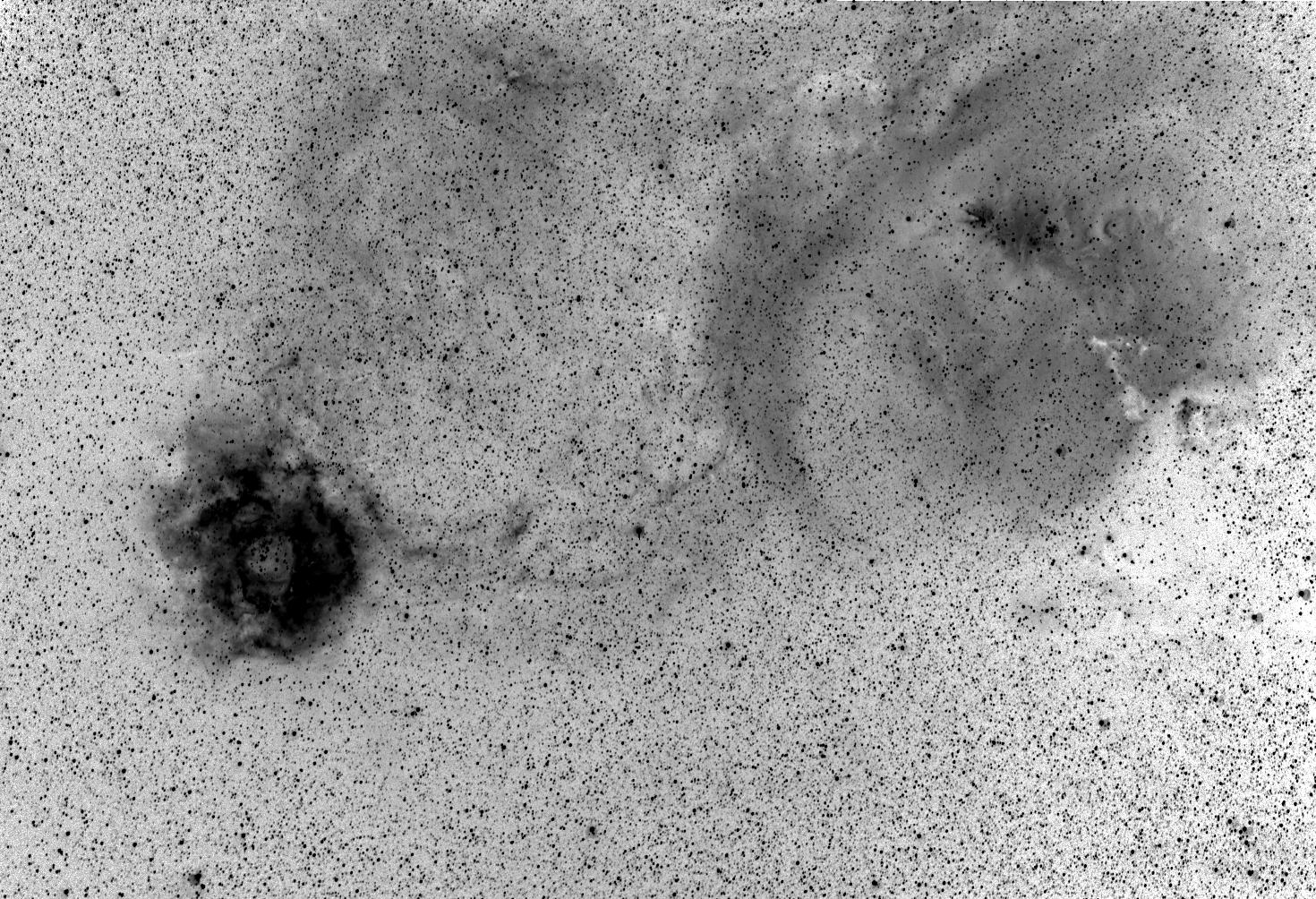 Rosette & Cone Nebulae--negative image