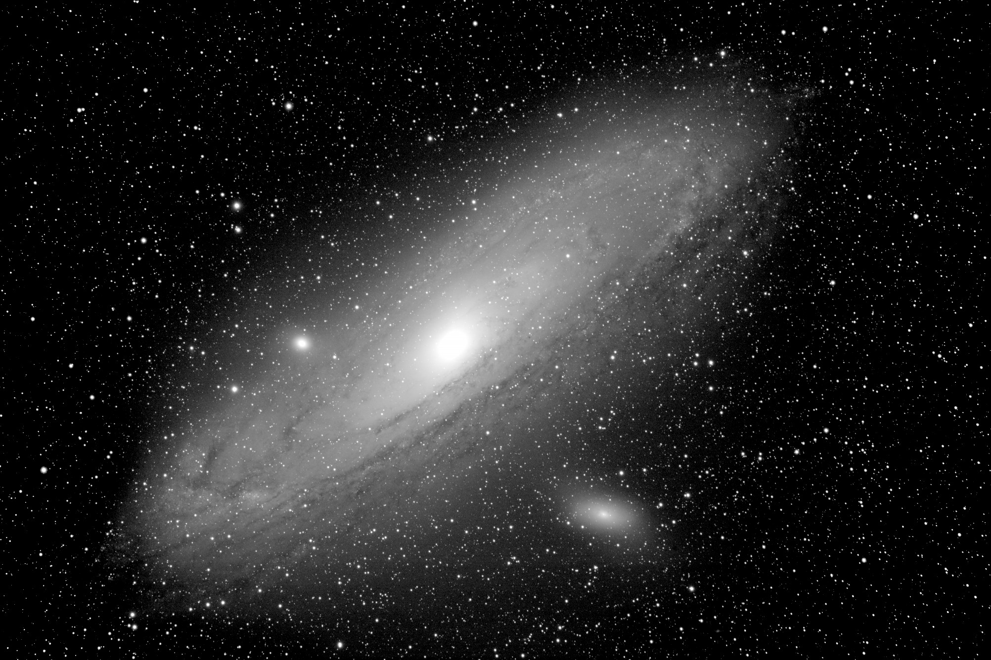 M31 Luminance
