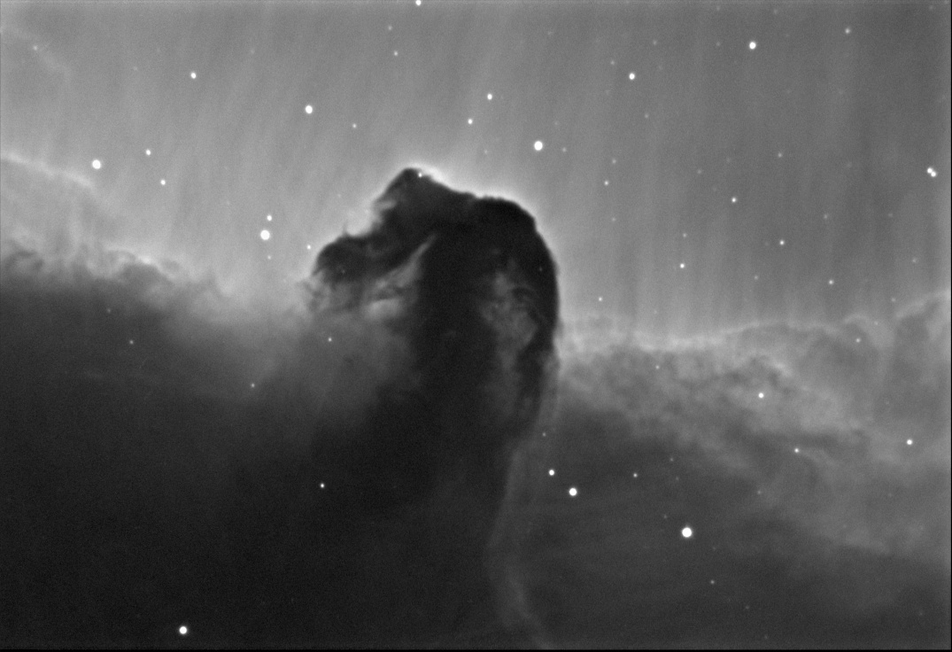 Horsehead in H alpha