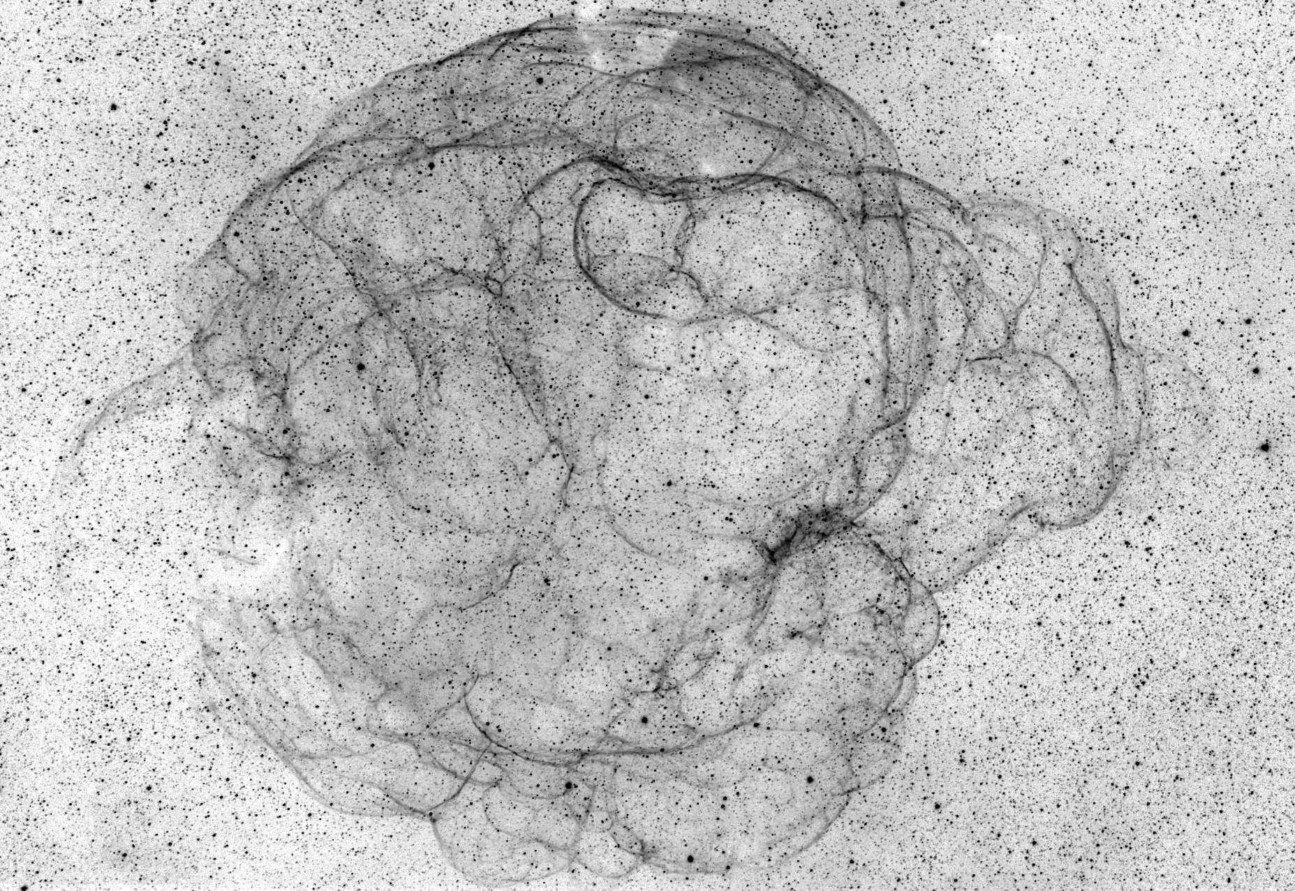 Sharpless 2-240 negative
