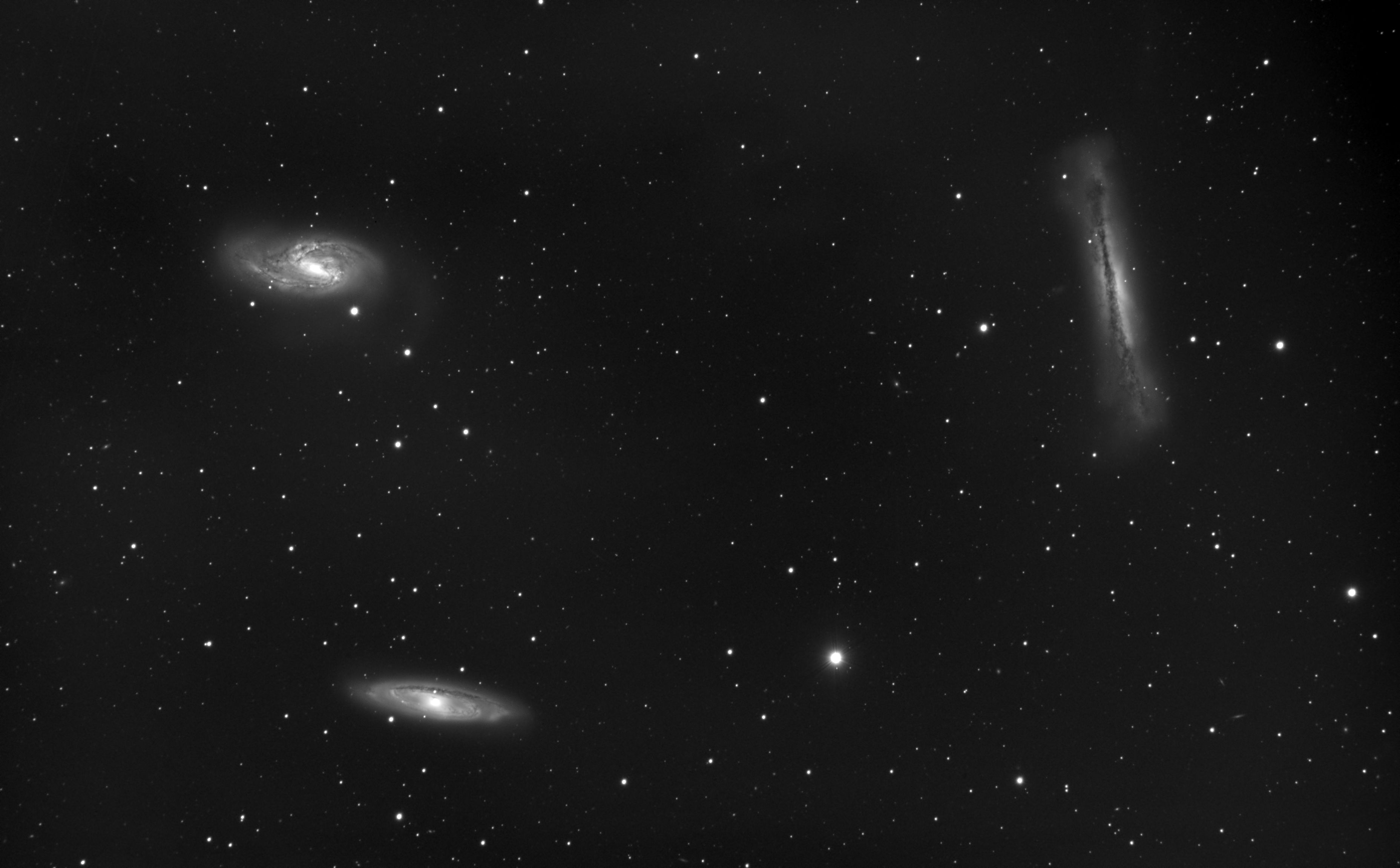 Leo Triplet