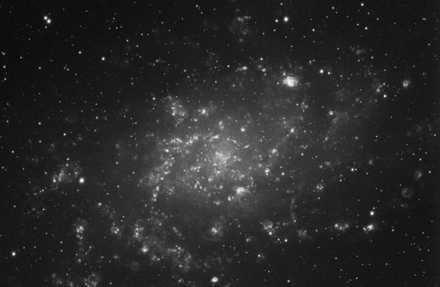M33 in H alpha