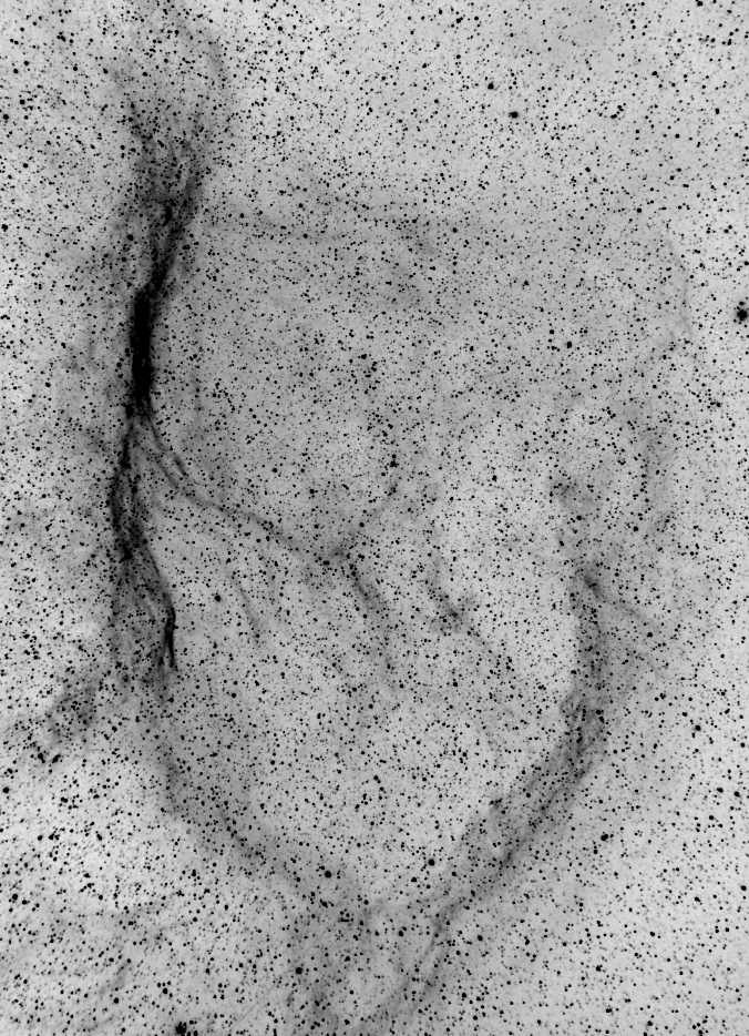 Eridanus Loop