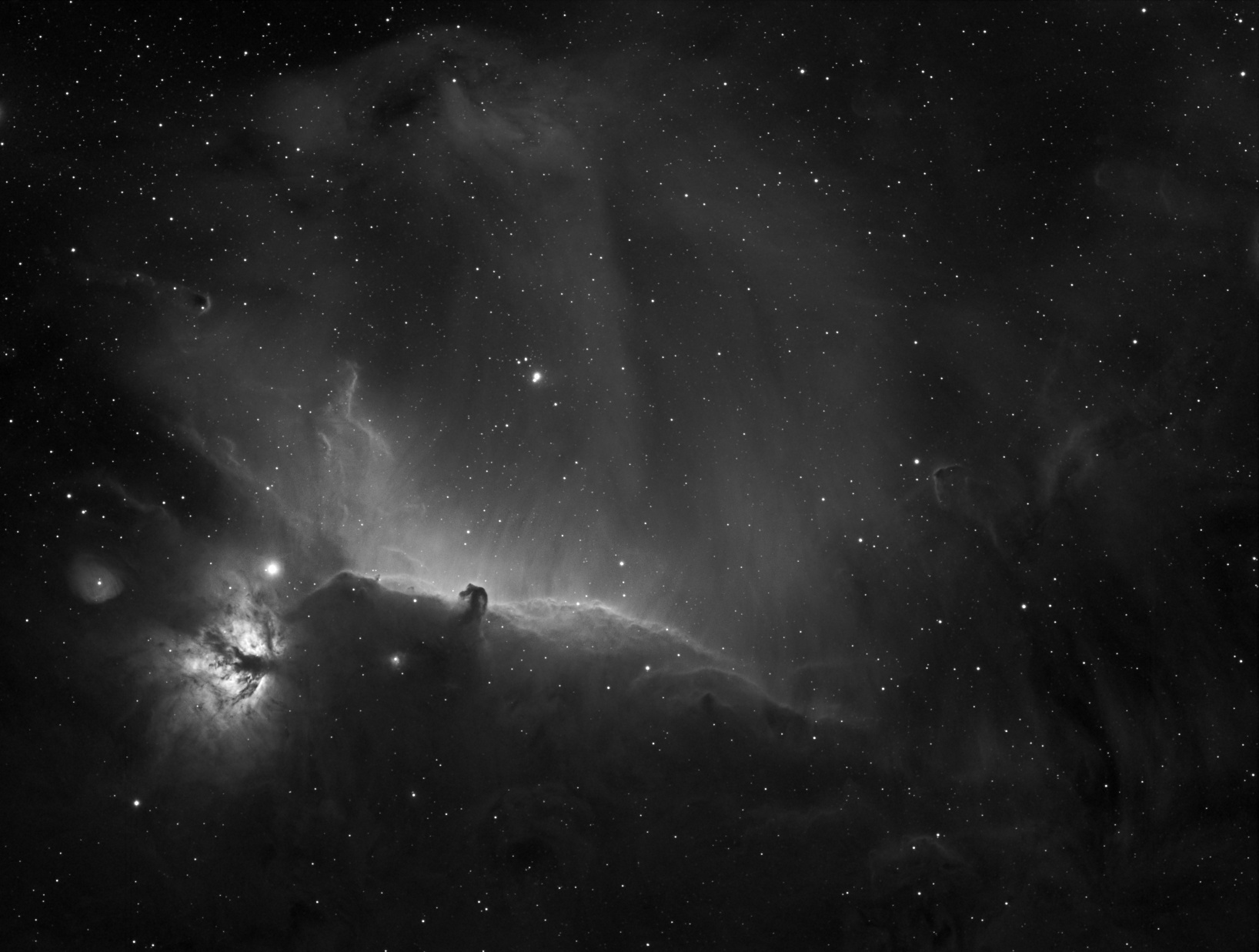 Horsehead and Flame Nebulae