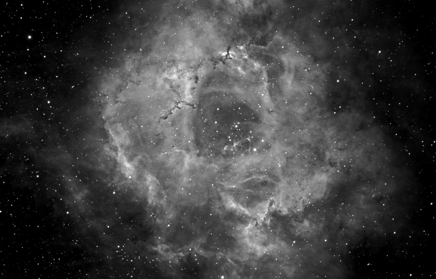 Rosette Nebula